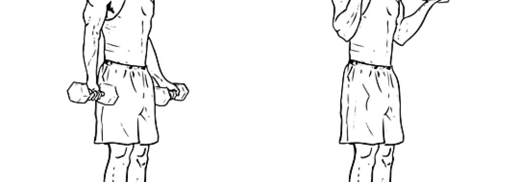 3. Бицепсово сгъване с дъмбели | Серии: 6 / Повт: 30,25,15,25,20, до откат / Почивка: 30 сек