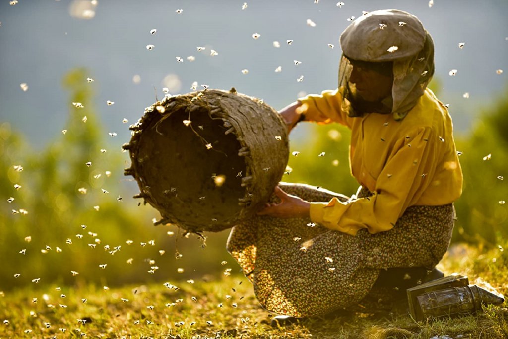 "Медена земя" (Honeyland)Година:2019Северномакедонският филм на Тамара Колевска и Любомир Стефанов взе три награди от "Сънденс" и беше номиниран за "Оскар". В ядрото му лежи историята на Хатидже Муратова - една от последните жени пчелари в Европа, която живее в изоставено село в провинцията. Всичко обаче се променя, когато там се нанася семейство с меркантилни интереси, които нарушават създадения баланс между човека и природата. Историята им показва и нагледно как човекът може да се превърне в истински унищожител, когато не уважава онова, създадено преди него. Филмът е достъпен в Amazon Prime.