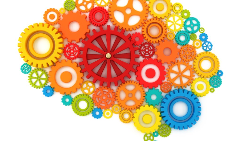 brain