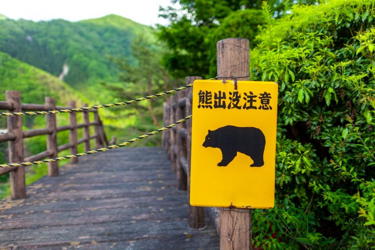 Табели в Япония предупреждават за райони с мечки, но животните вече се доближават и до населени с хора селища.