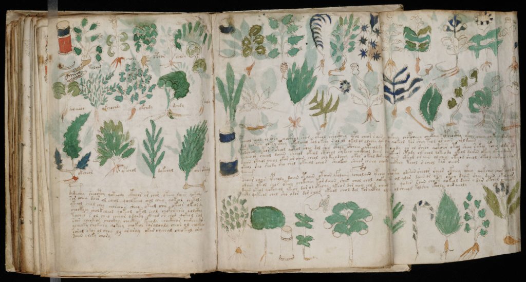 Voynich_Manuscript_(178)