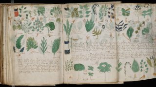 Voynich_Manuscript_(178)