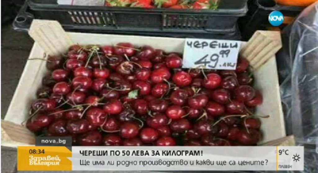 череши