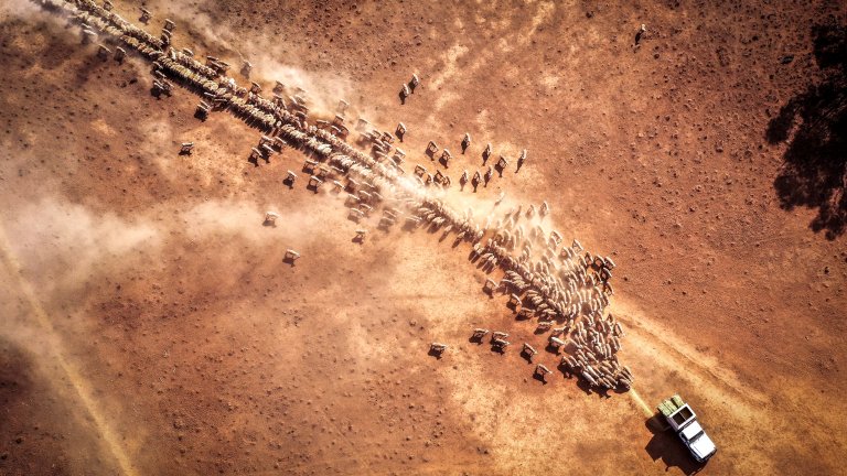 На технологии вместо на рестрикции възнамерява да заложи Канбера