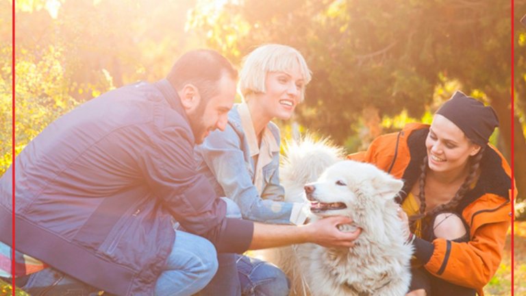 BetterwithPets разпространява инициативи в цяла Европа