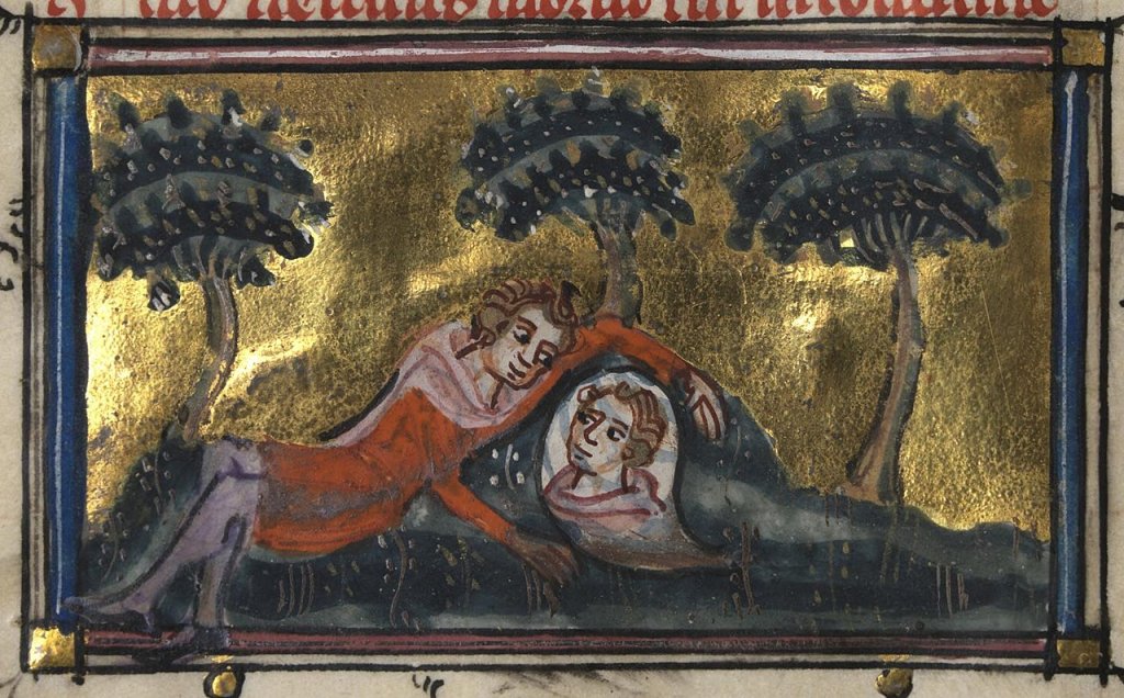 Roman_de_la_Rose_f._11v_(Narcissus_gazes_at_the_spring)