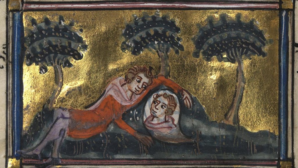 Roman_de_la_Rose_f._11v_(Narcissus_gazes_at_the_spring)
