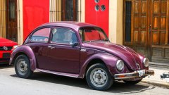 “Бръмбар” - Volkswagen Type 1

В България всички си го знаем като “Костенурка”, но на запад е по-известен като “Бръмбар”. Абсолютна класика, която за първи път се появява през 1938 г. с простичкото име Type 1, и днес все още е най-дългопроизвежданият модел автомобил в историята.  

Малката “народна кола” става изключително популярна заради достъпността, надеждността и специфичната си форма и всички започват да я наричат “Бръмбар”. Прякорът така се налага сред масовите потребители, че след Втората световна война става официалното име на модела.