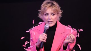 Шарън Стоун говори за славата, СПИН и равноправието на фестивал в Саудитска Арабия