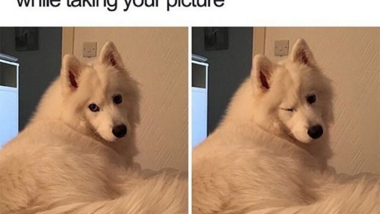 "Когато фотографът ти каже, че си сладка, докато те снима" - ето така изглежда едно от meme-тата, които все повече тийнейджъри споделят в социалните мрежи