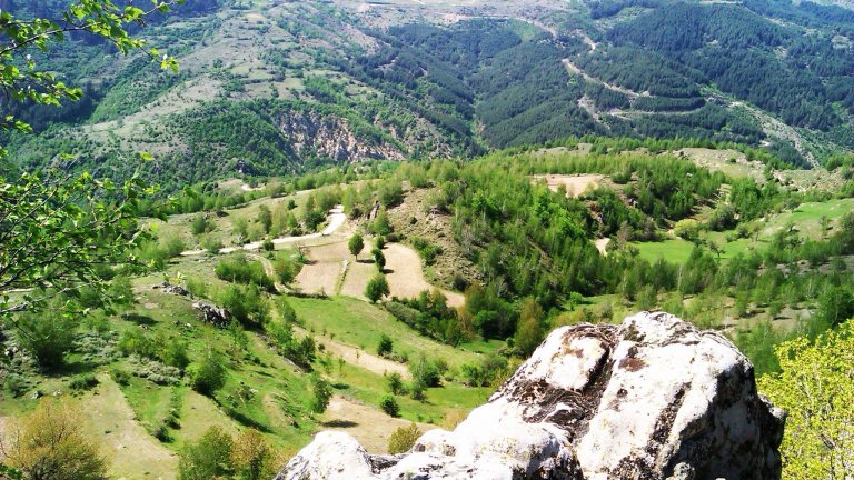 Местните се обявяват остро срещу решението на община Пазарджик да продаде гориста местност над селото