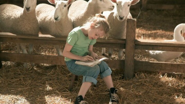 Паяжината на Шарлот