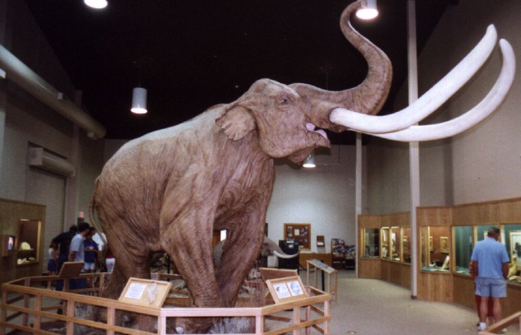 mammoth