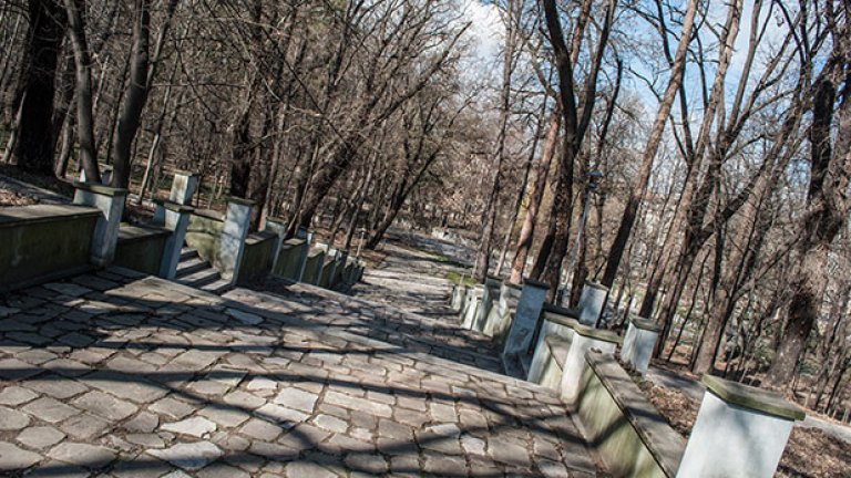 Какво, ако Военна академия стане съд