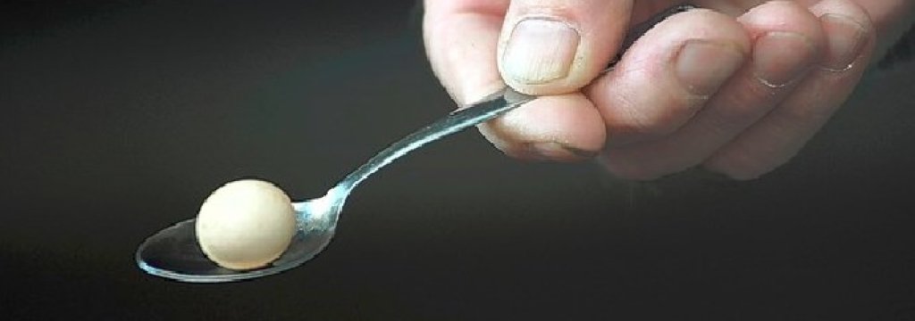 egg