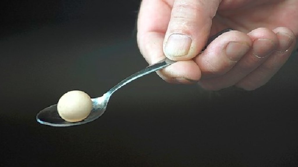 egg