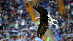 Орелът на Лацио ще полети и преди първия мач от пролетта, който ще е срещу Лудогорец. Дано българите летят от радост след реванша...