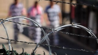 Brazilian-prisoners