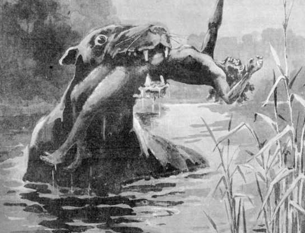 Bunyip_1890