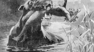 Bunyip_1890