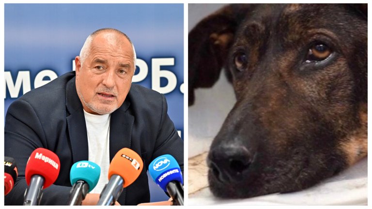 Водещите новини на 2 ноември 2023 г.