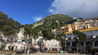 IMG_1470