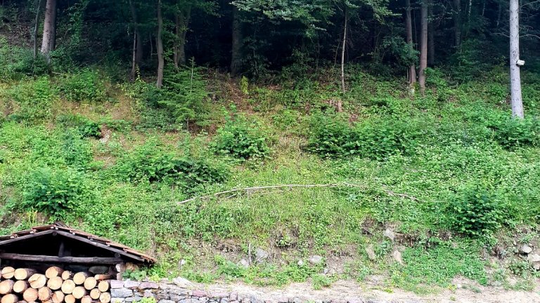 Да ти излезе късметът с тестдрайв на новия CLS Coupe