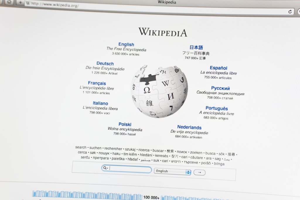 WikipediaГлобусът на Wikipedia е и винаги ще изглежда незавършен и винаги ще липсват парченца от него. Причината е, че компанията смята, че винаги ще има още и още информация за допълване и винаги ще има поне още едно парче от пъзела, което да бъде наредено.