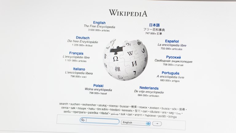 WikipediaГлобусът на Wikipedia е и винаги ще изглежда незавършен и винаги ще липсват парченца от него. Причината е, че компанията смята, че винаги ще има още и още информация за допълване и винаги ще има поне още едно парче от пъзела, което да бъде наредено.