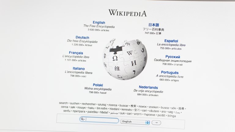 WikipediaГлобусът на Wikipedia е и винаги ще изглежда незавършен и винаги ще липсват парченца от него. Причината е, че компанията смята, че винаги ще има още и още информация за допълване и винаги ще има поне още едно парче от пъзела, което да бъде наредено.