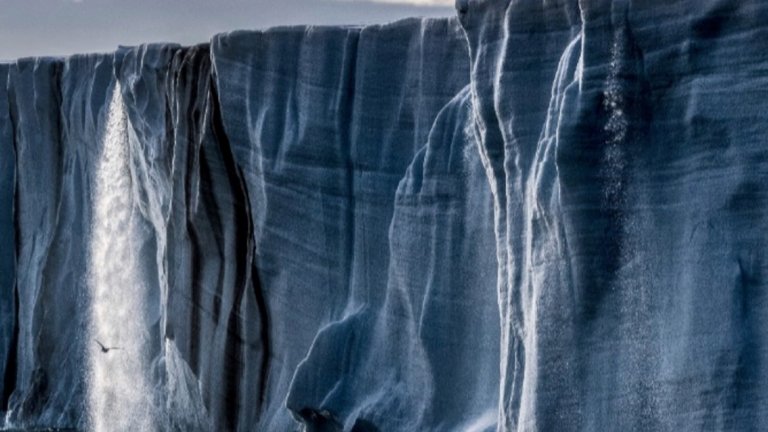 Pearl Jam – Gigaton (27 март)
Емблемите на грънджа не бяха издавали албум от 2013-а, но ще го направят съвсем скоро и ще подкрепят проекта с турне из Северна Америка. Първият сингъл от Gigaton ще излезе на 21 януари, а китаристът Майк Маккрийди описа записите като дълго пътуване, което е било "емоционално мрачно и объркващо на моменти, но също вълнуващ и експериментален път към музикално изкупление". 
Разбира се, Pearl Jam отдавна нямат какво да доказват в музиката, но имат много с какво да допринесат и остава само надеждата, че Gigaton ще е поне малко по-смел от миналия албум Lightning Bolt.