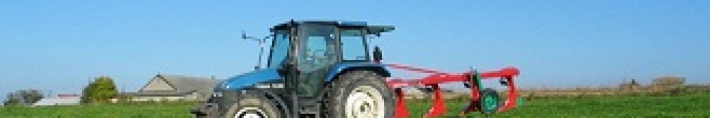 Популизъм, мораториум, наказателна процедура