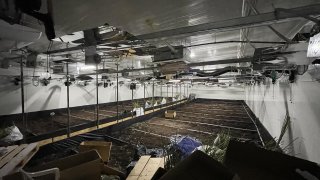 В модерната оранжерия е отглеждана марихуана