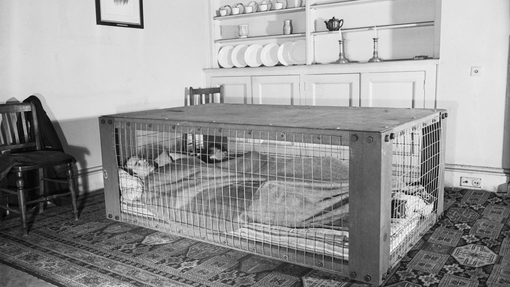 A_couple_sleeping_in_a_Morrison_shelter_during_the_Second_World_War._D2055