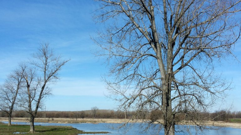 Територията на Персин е защитена по НАТУРА 2000 и по двете директиви на ЕС - за птиците и за хабитатите. Тук могат да се видят уникални и редки видове птици, застрашени животински видове и растителност