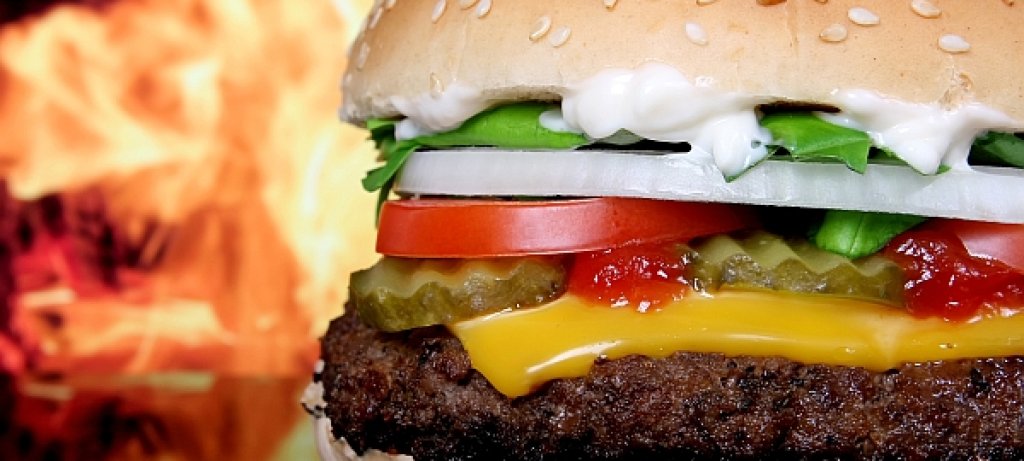 Silhouette of cheese burger and summer garden vegetables