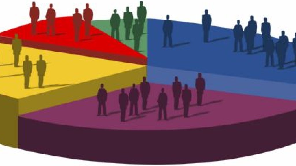 demographics4
