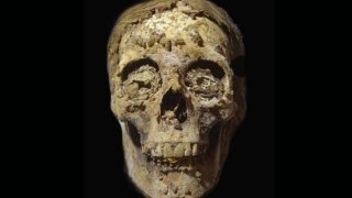 mummified-skull-of-oxyrhynchus-tomb