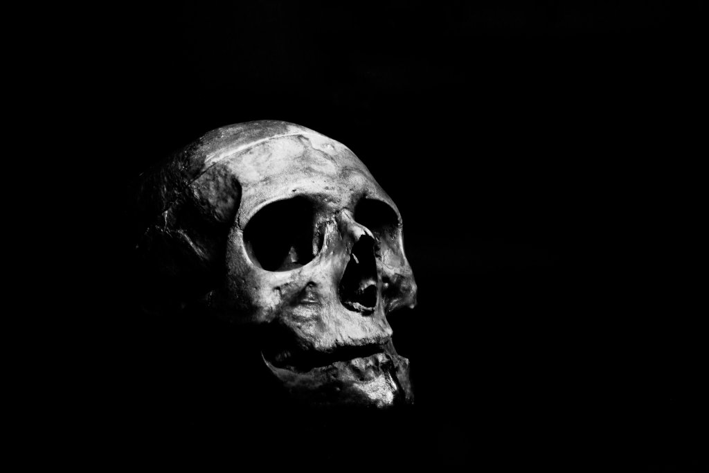 ahmed-adly-1PtM6b85sdw-unsplash