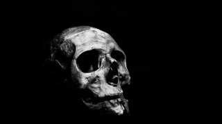 ahmed-adly-1PtM6b85sdw-unsplash
