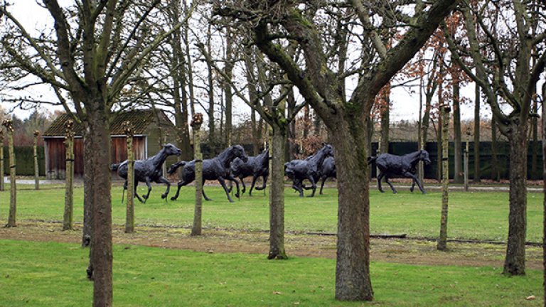 Българската следа
