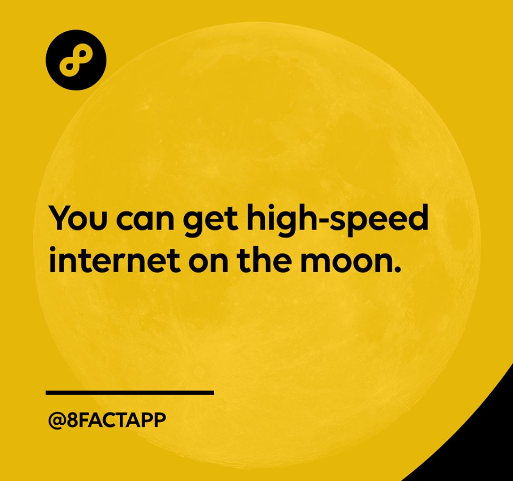 1 8FACT