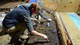 bacho-kiro-excavation