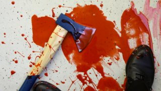 27-годишният Такахиро Шираиши признава, че разчленявал жертвите си в банята и изхвърлял части от телата им в боклука.