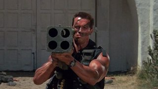 Арнолд Шварценегер
Кой би могъл да разбие по-добре стеротипа, че мускулестите хора са глупави, освен самият Терминатор и 7-кратен шампион на “Мистър Олимпия”, който може да се похвали с IQ 135. 
Ако се замислим обаче, тoва едва ли би могло да бъде наистина изненада. Шварценегер пристига в САЩ почти без пари и с неголеми перспективи, а впоследствие се превръща в един от най-великите бодибилдъри в историята, истинска суперзвезда в киното и междувременно изгражда и политическа кариера като губернатор на щата Калифорния за цели осем години.