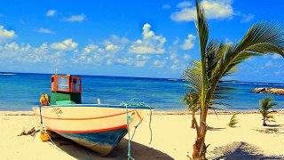 beach-of-guadeloupe