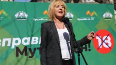 Според лидерката на "Изправи се! Мутри вън!" Борисов искал свикване на ВНС, за да остане премиер до живот