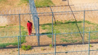 Удивителната история на Бърни Тийд (снимката е илюстративна)