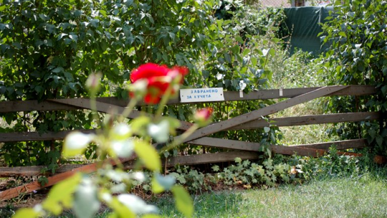 Забранено за кучета