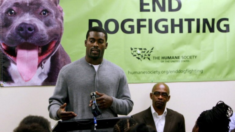 Майкъл Вик и боя с кучета
В пика на кариерата си в НФЛ Майкъл Вик взима безумното решение да вложи състоянието си в имение за кучешки боеве. Явно той е единственият, който не намира подобна идея за абсурдна и който не подозира, че това може да е напълно незаконно. Общите разходи на куотърбека, включая глобите и съдебните разноски, възлизат на около 130 млн. долара. След като изкарва 21 месеца в затвора той се връща към американския футбол с екипа на Филаделфия Ийгълс през 2009-а, а през 2017-а официално прекрати кариерата си.